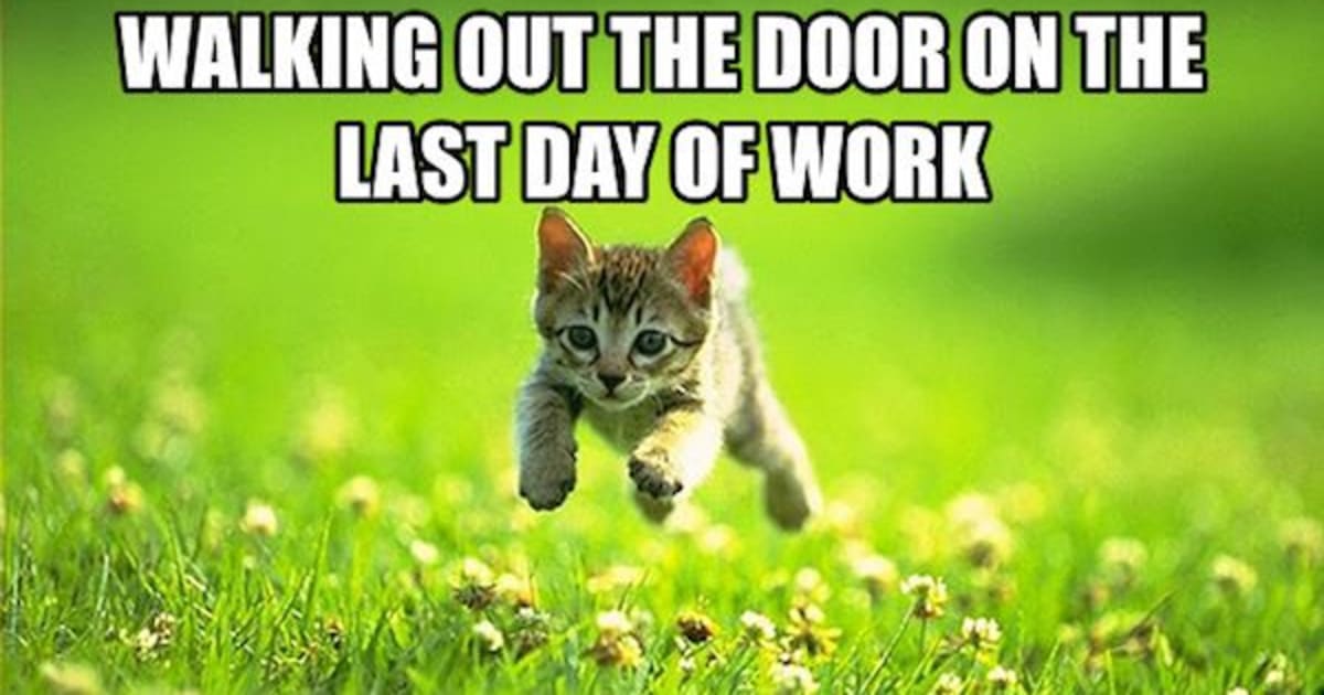 25 Memes to Celebrate Your Last Day at Work Fairygodboss