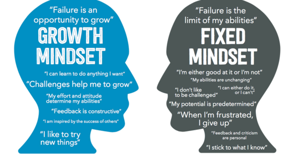 In Adopting A Growth Mindset My Worries About My Perceived
