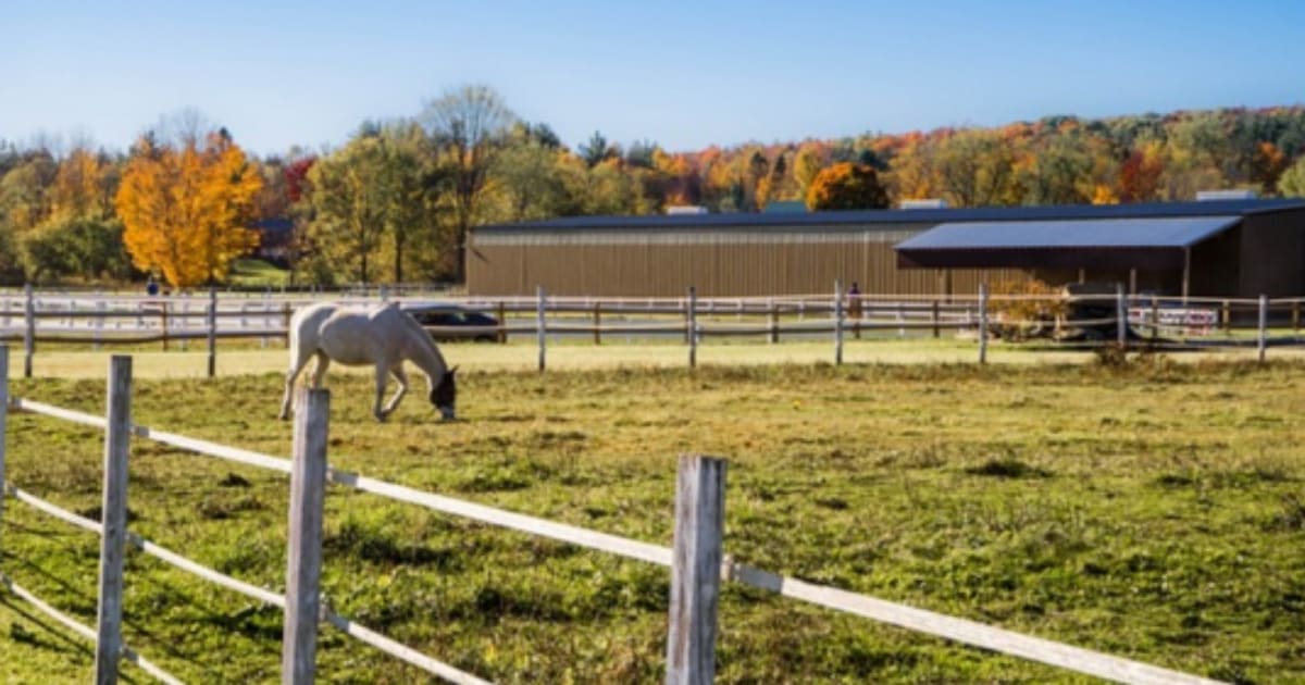 Vermont Maternity Leave and Paternity Leave Laws and Benefits