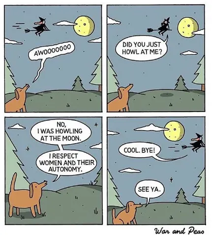 respect women comic