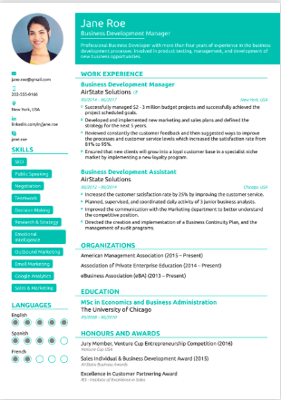 Chronological Resume Modern Design Chronological Resume