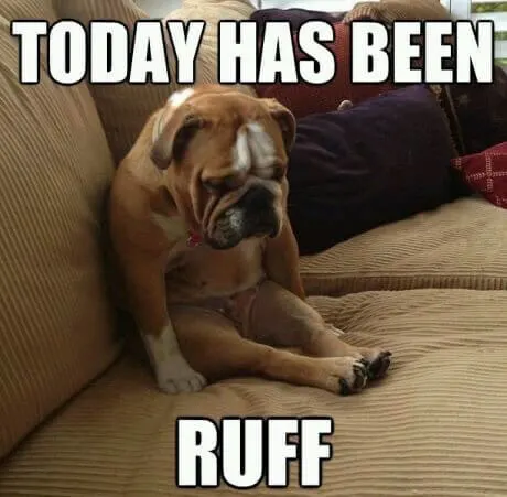 rough day at work meme