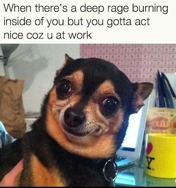bad mood at work meme with dog