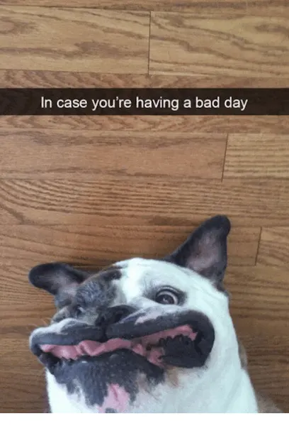 funny meme to cheer you up on a bad day