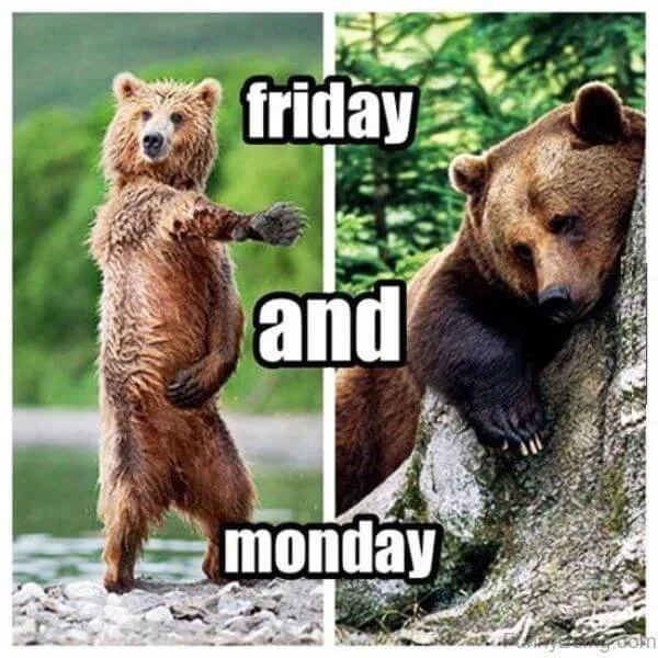 friday vs monday meme