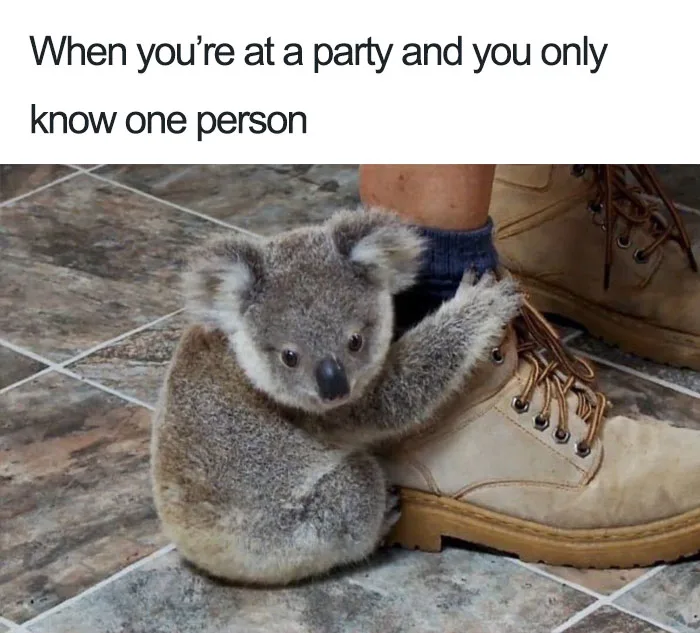 introvert image