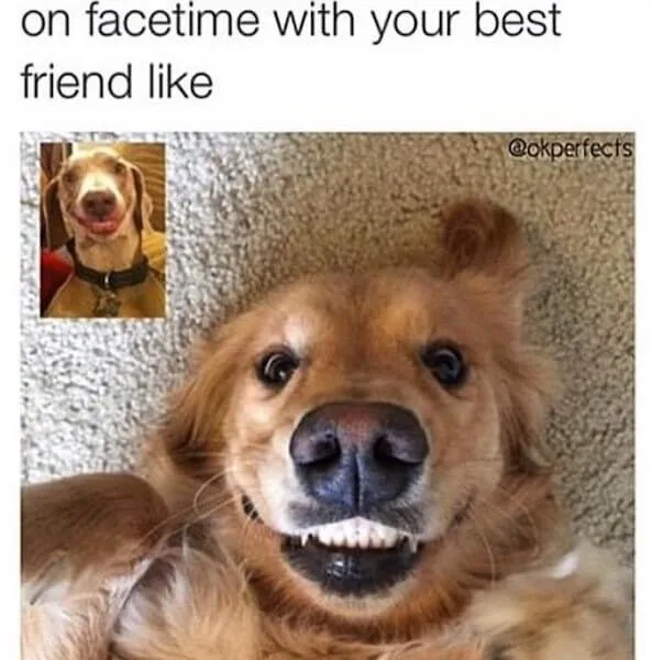 friends meme