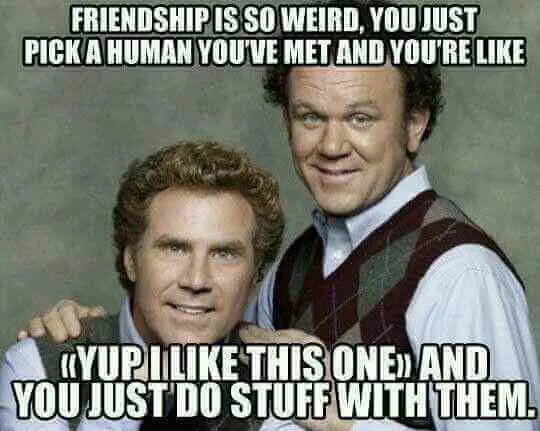 bestie best friend meme