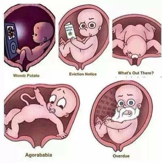 childbirth meme with overdue baby