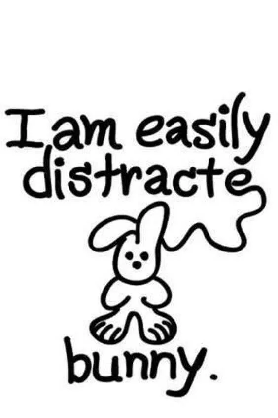 easily distracted meme with a bunny