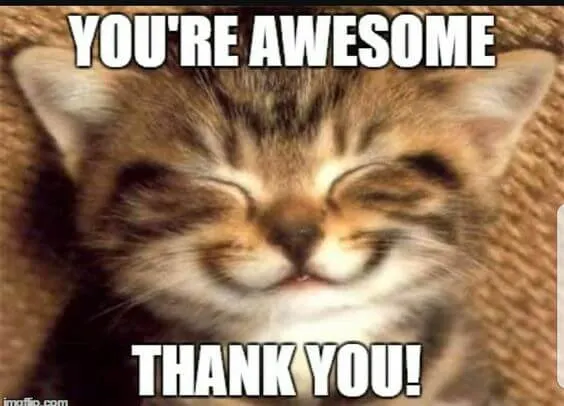 you are awesome meme funny