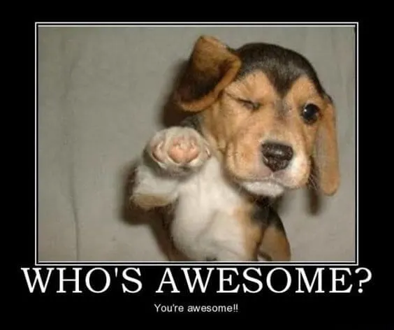 who's awesome meme