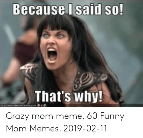 50 Memes for Moms Who Could *Really* Use a Break | Fairygodboss