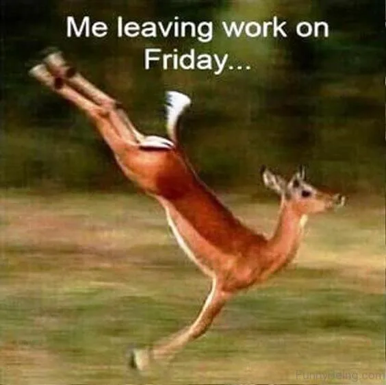 How to walk out of work on Friday image