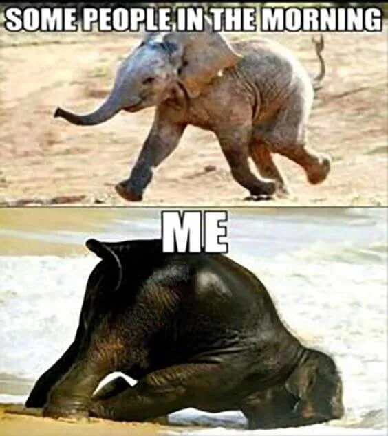 getting back to work meme