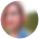 Anonymous Review Image