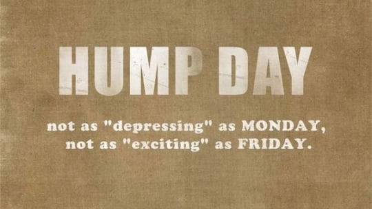 Hump Day meme