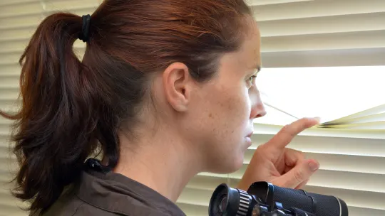 private investigator with binoculars peering through blinds