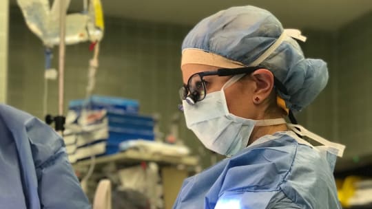 Dr. Rachel A. Ruotolo