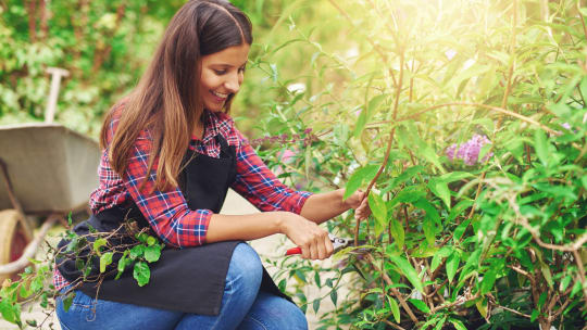 botanist working with flowers outside 