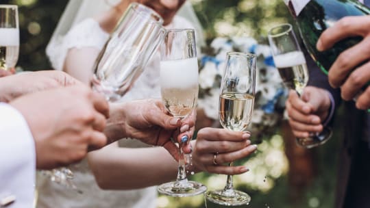People raising glasses to make a toast