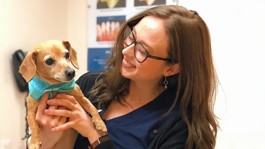 Photo Courtesy of Banfield Pet Hospital. 