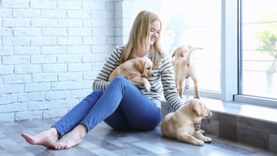 Woman with puppies