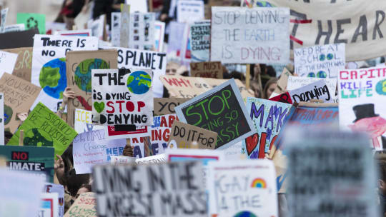 protest signs