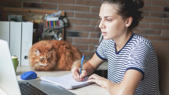 Woman Works from Home