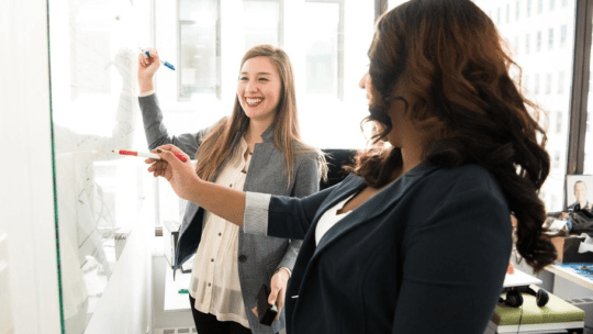 Office collaborators