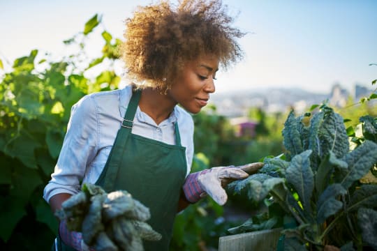 Woman at Work