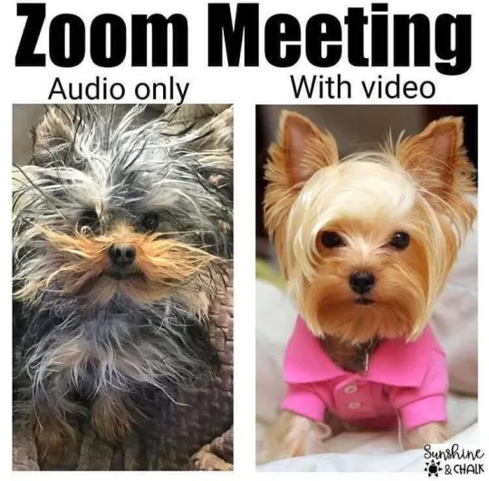 /community/jqrus9q3w4wzm7h0coc5.jpg-image