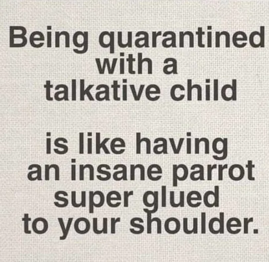 /community/xjhjitn1ifeg59323i6j.png-image