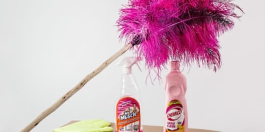 Housework cleaning