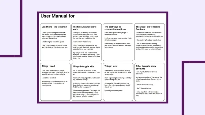 personal operating manual example