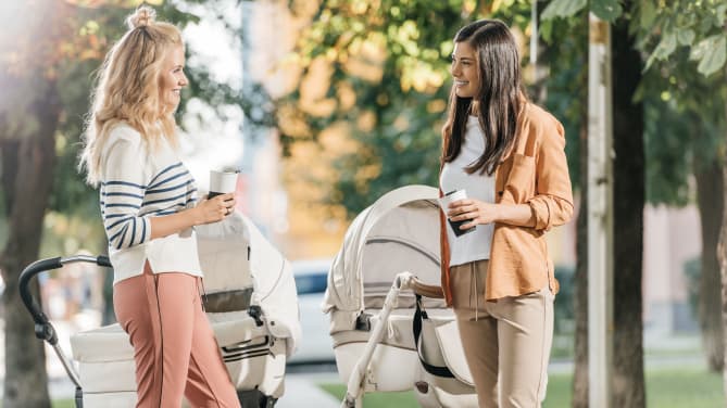 Two mothers speaking at the park