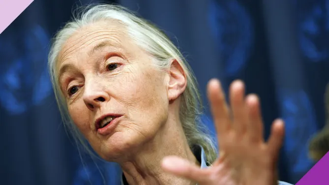 Jane Goodall