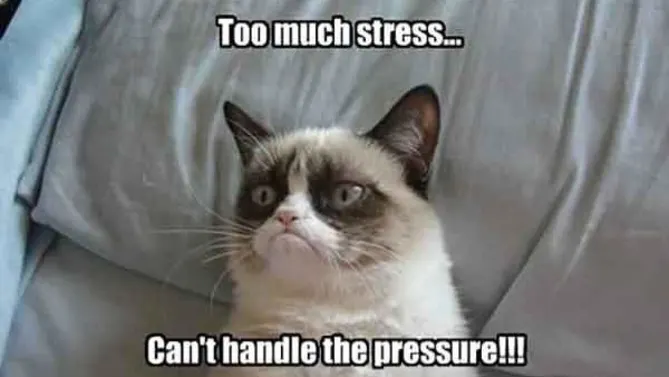 funny work stress meme