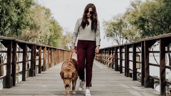 dog walker with dog