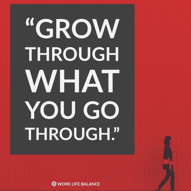 Since most of us here work in a toxic environment, we might as well grow through it to gain wisdom, knowledge and experience ...