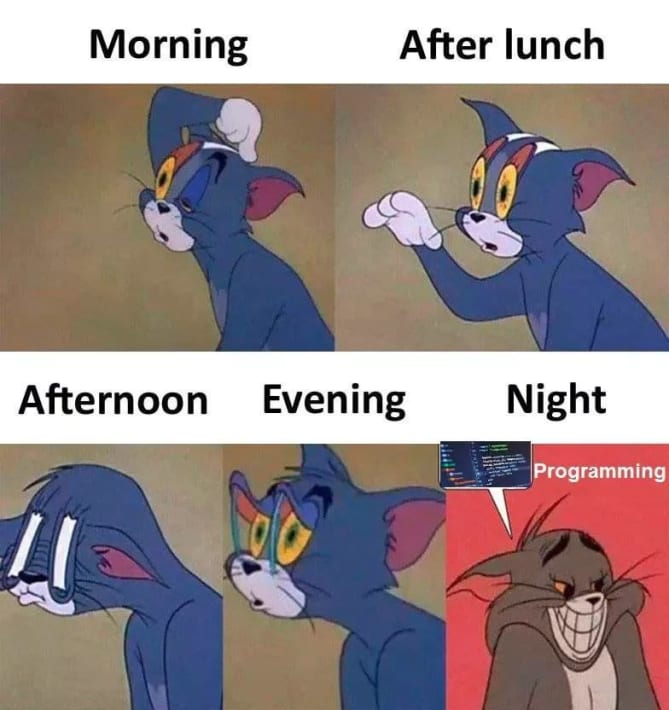 My typical day..