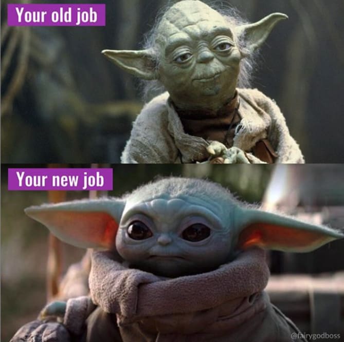Fairygodboss jobs be like..
