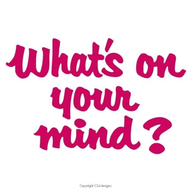 In terms of your career/career advancement, what concerns do you have?