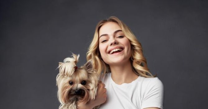 Thoughts on dogs in offices?