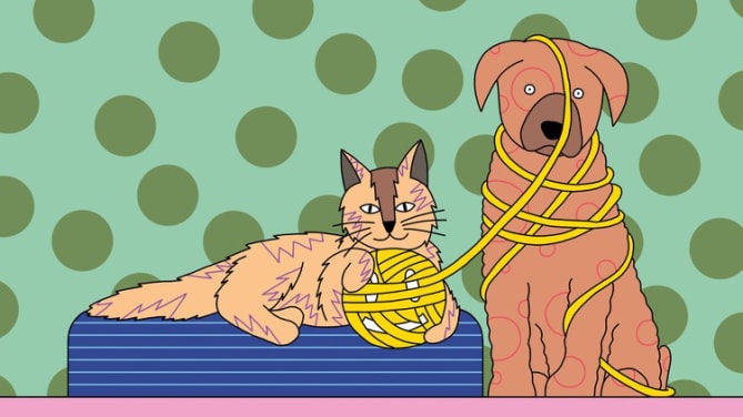 I often think how to manage different types of personalities at work doesn’t get enough attention in the workplace.