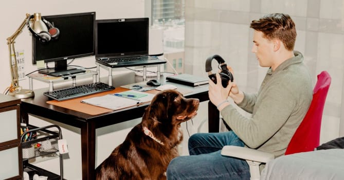 67% of dog owners said they might look for a different job if their company no longer offered remote work.