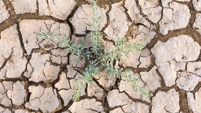 Resilience in the workplace feels more important now than ever.