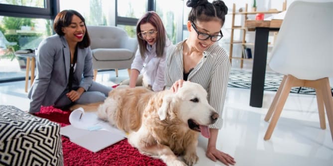 Women with dog