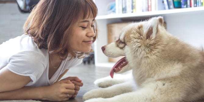 Woman laying with her pet dog
