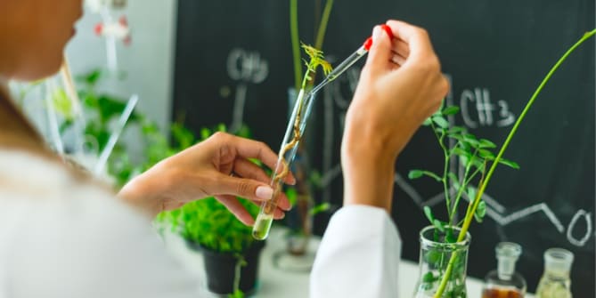 Woman studying plants